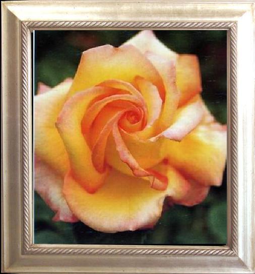 framed  unknow artist Still life floral, all kinds of reality flowers oil painting  347, Ta126